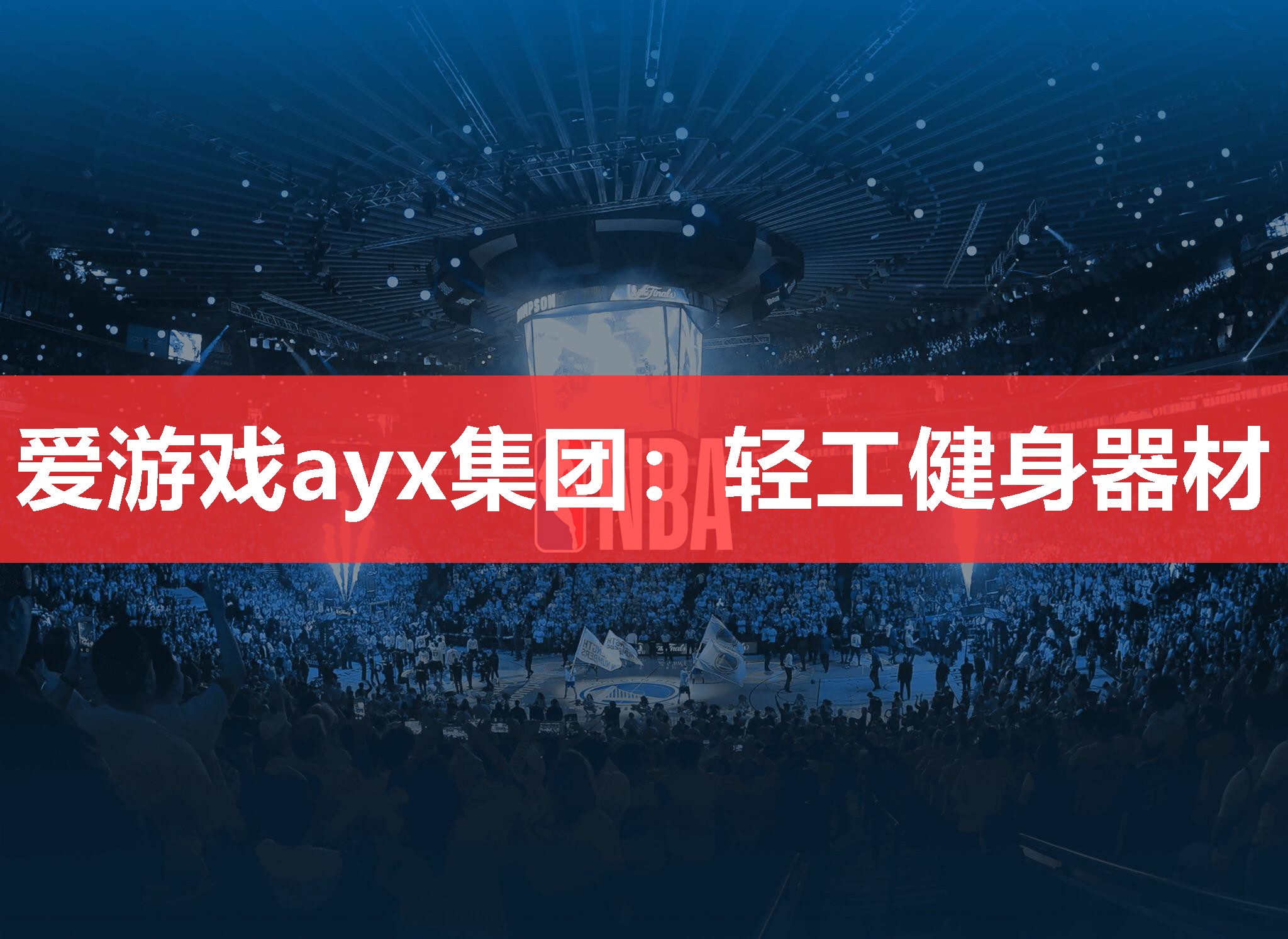 爱游戏ayx集团：轻工健身器材