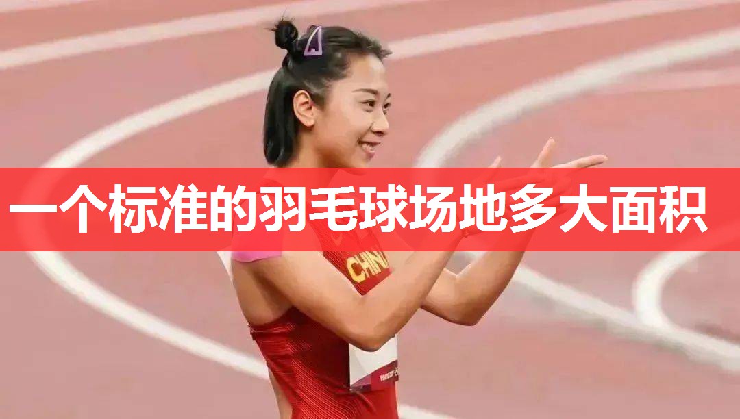 一个标准的羽毛球场地多大面积