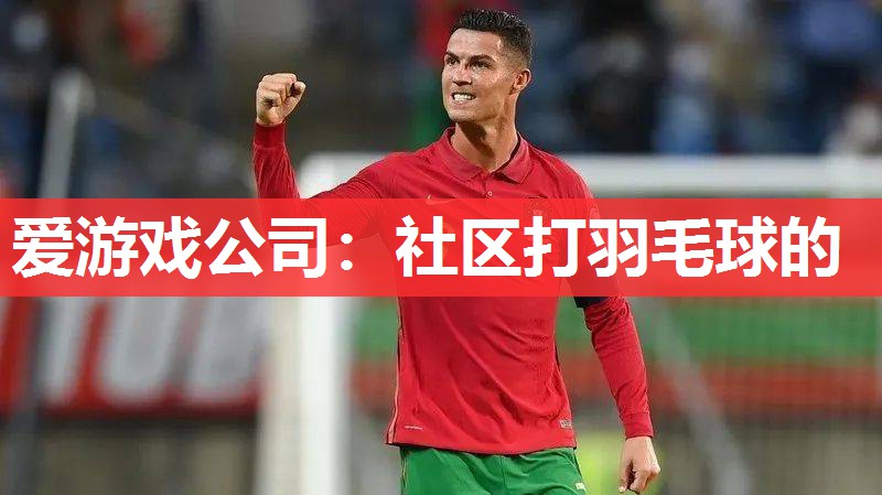 爱游戏公司：社区打羽毛球的