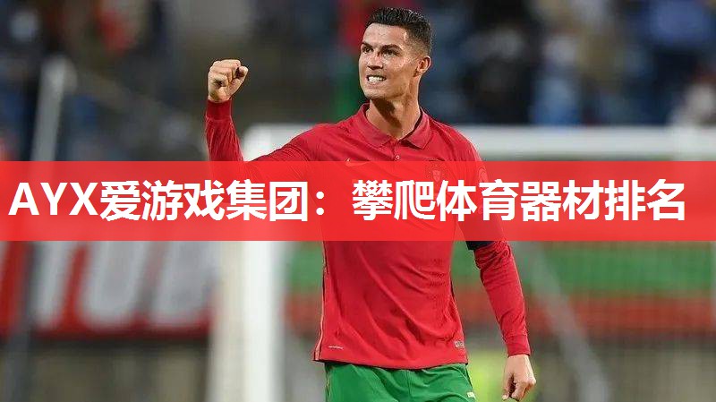 AYX爱游戏集团：攀爬体育器材排名