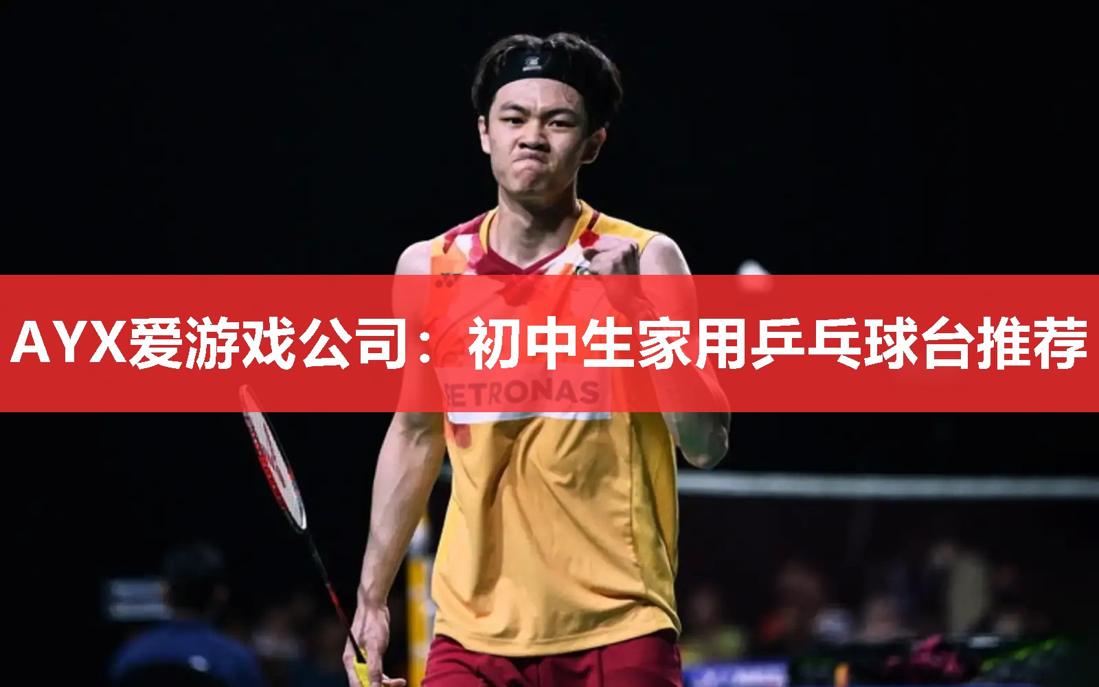 初中生家用乒乓球台推荐 初中生家用乒乓球台推荐