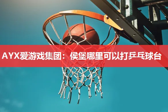侯堡哪里可以打乒乓球台 侯堡哪里可以打乒乓球台