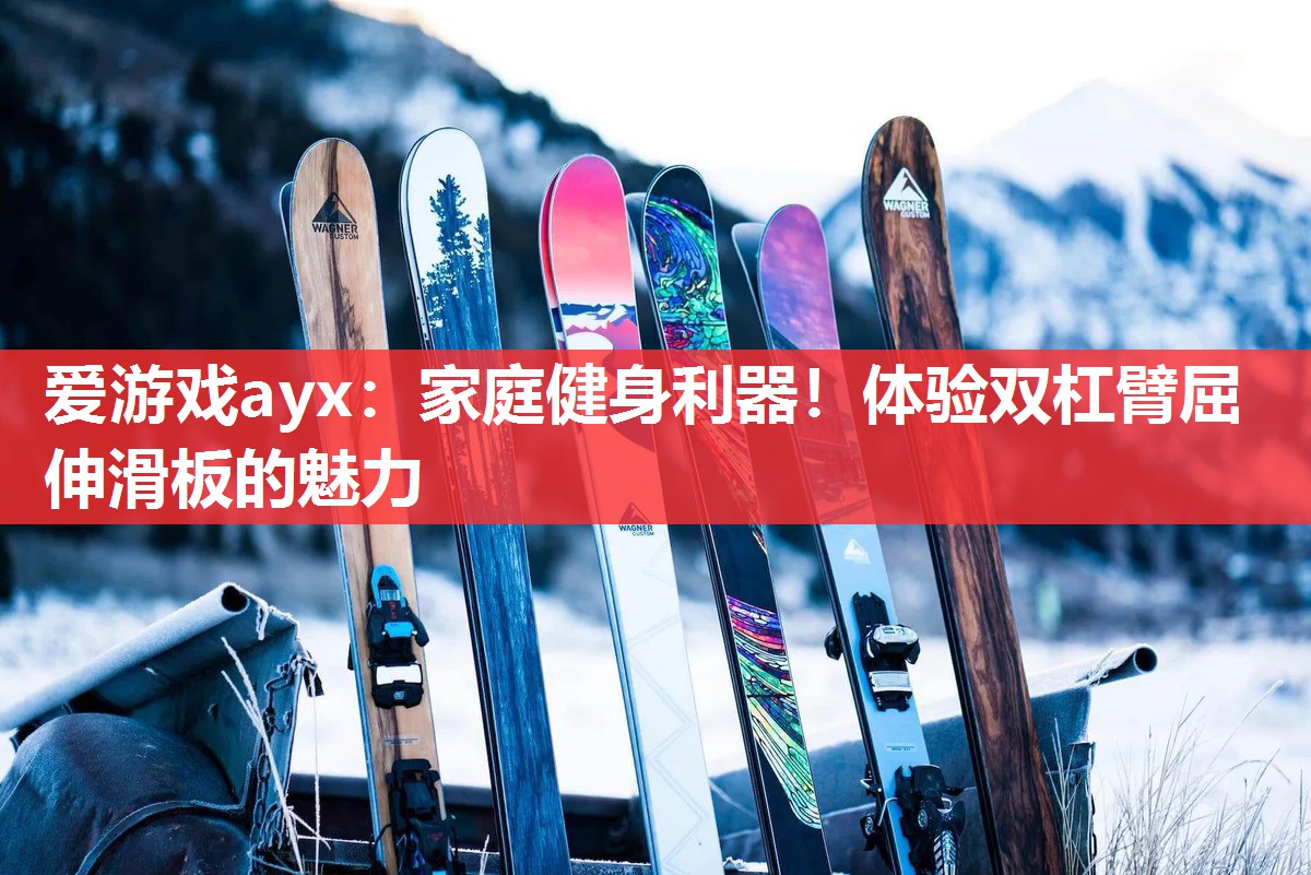 家庭健身利器!体验双杠臂屈伸滑板的魅力 家庭健身利器!体验双杠臂屈伸滑板的魅力