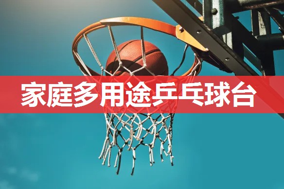 家庭多用途乒乓球台 家庭多用途乒乓球台