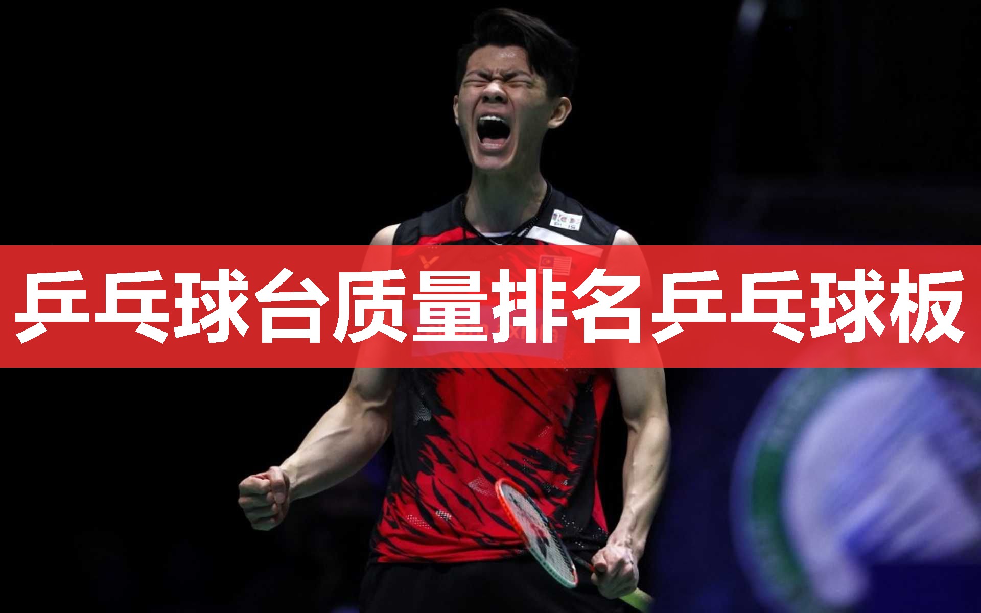 乒乓球台质量排名乒乓球板 乒乓球台质量排名乒乓球板
