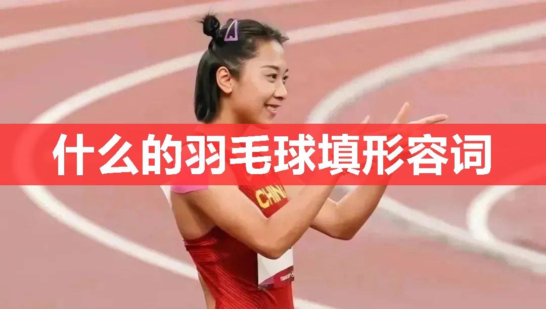 什么的羽毛球填形容词 什么的羽毛球填形容词