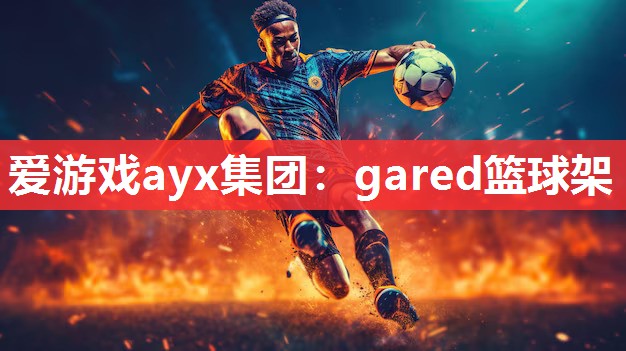 gared篮球架 gared篮球架