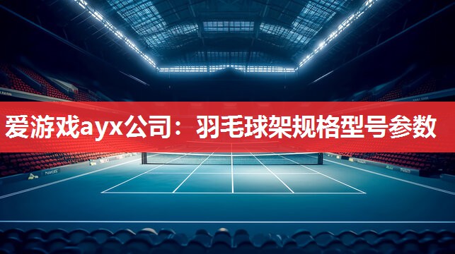 羽毛球架规格型号参数 羽毛球架规格型号参数