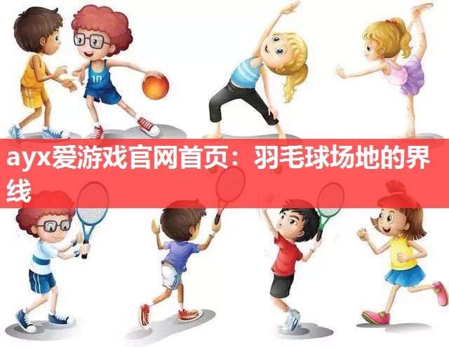 羽毛球场地的界线 羽毛球场地的界线