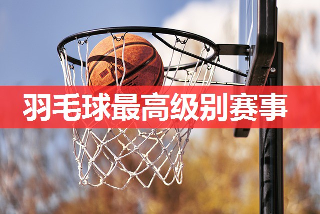 羽毛球最高级别赛事 羽毛球最高级别赛事