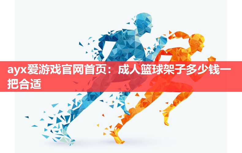 成人篮球架子多少钱一把合适 成人篮球架子多少钱一把合适