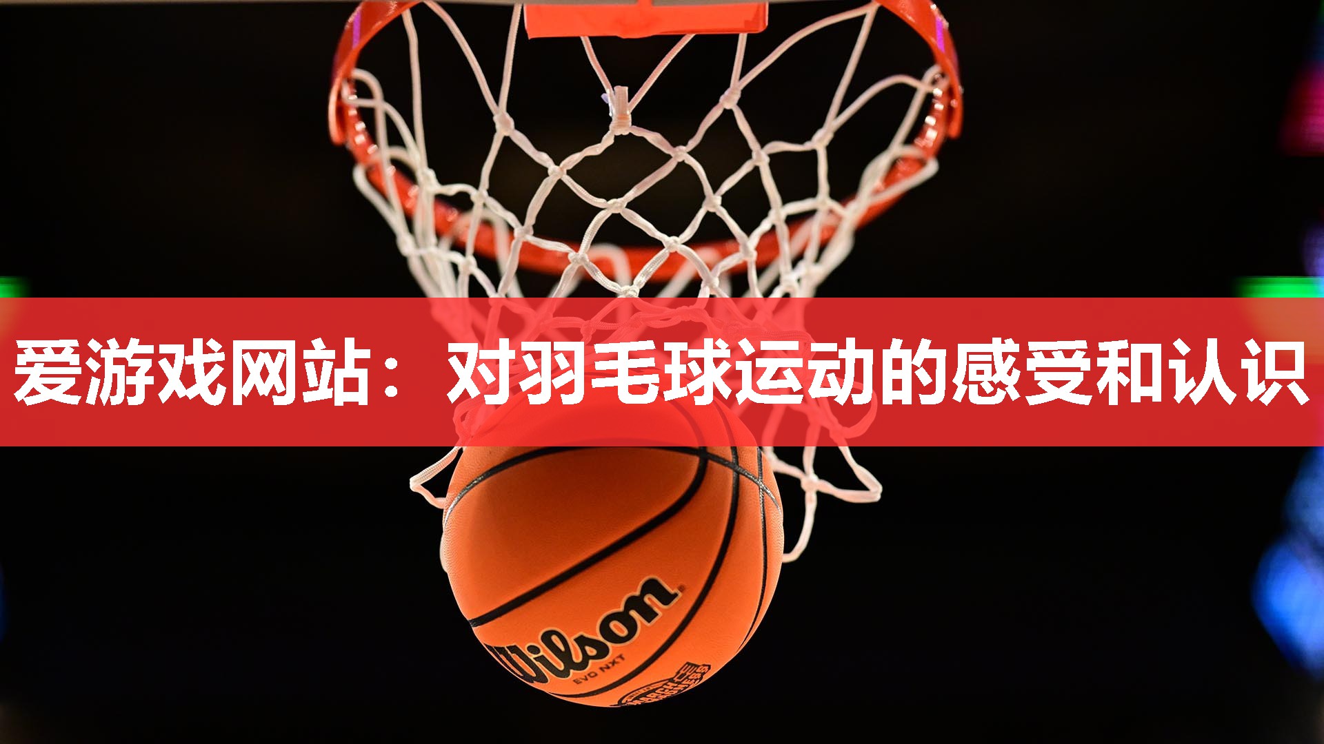 对羽毛球运动的感受和认识 对羽毛球运动的感受和认识
