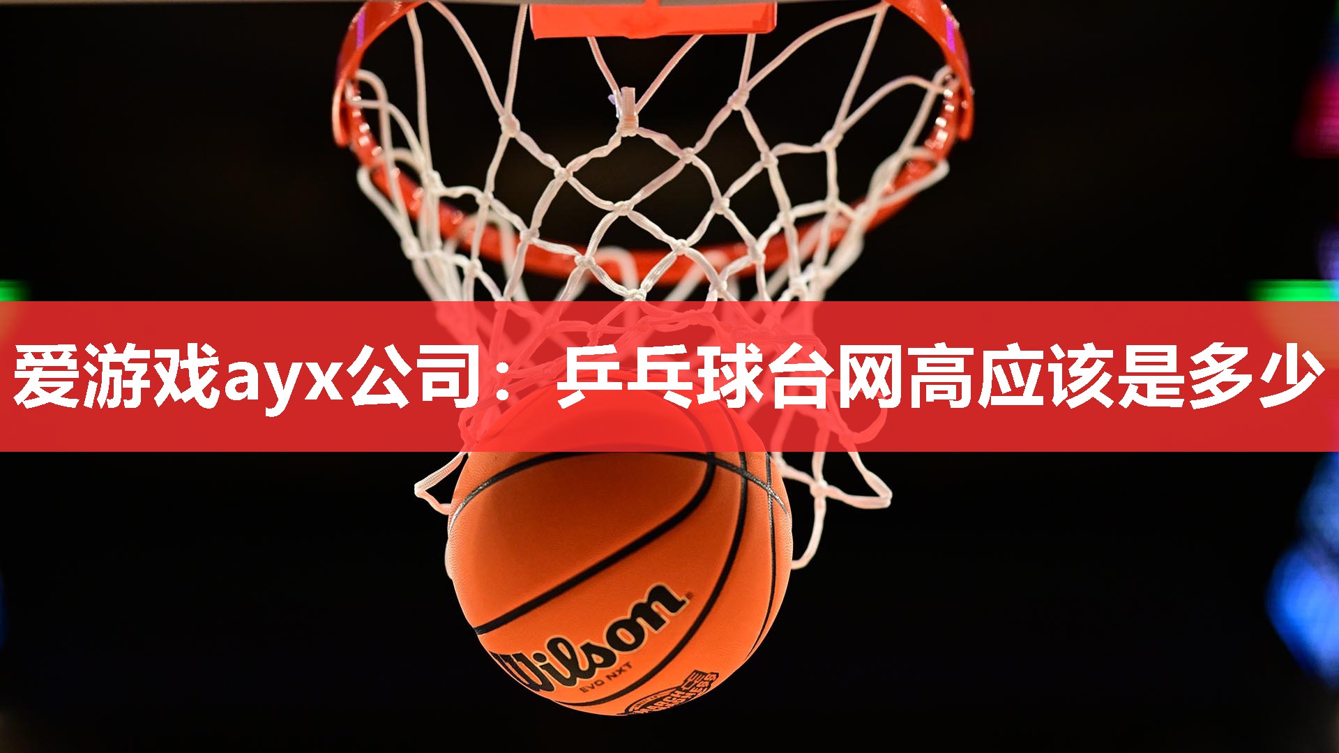 乒乓球台网高应该是多少 乒乓球台网高应该是多少