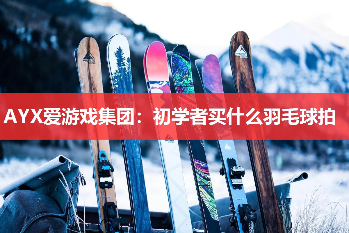 初学者买什么羽毛球拍 初学者买什么羽毛球拍