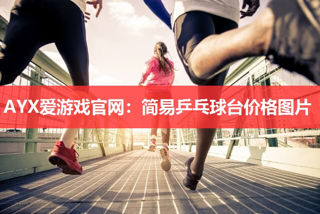 简易乒乓球台价格图片